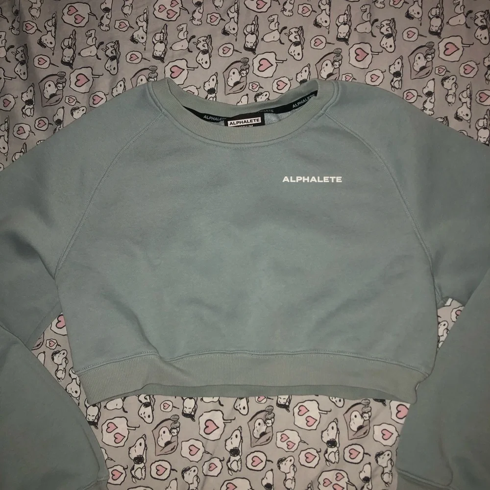 Alphalete Blue Classic Crew Crop - Picture 1 of 4